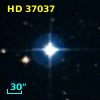 HD  37037