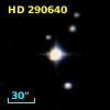HD 290640