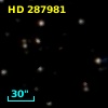 HD 287981