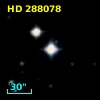 HD 288078