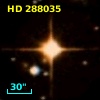 HD 288035