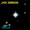 HD 288036