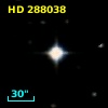 HD 288038
