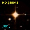HD 288043