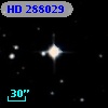 HD 288029