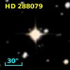 HD 288079