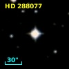 HD 288077