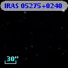 IRAS 05275+0240