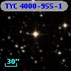 TYC 4000-955-1