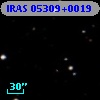 IRAS 05309+0019