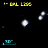** BAL  1295