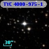TYC 4000-975-1