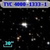 TYC 4000-1333-1