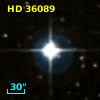 HD  36089