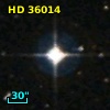 HD  36014