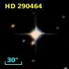 HD 290464