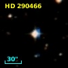 HD 290466