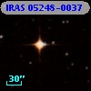 IRAS 05248-0037