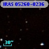 IRAS 05260-0236