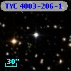 TYC 4003-206-1