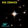 HD 290435