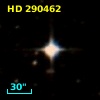 HD 290462