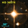 HD  36074