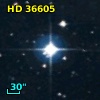 HD  36605