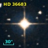 HD  36683