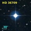 HD  36709