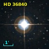 HD  36840