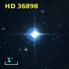 HD  36898