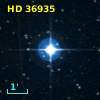 HD  36935