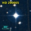 HD 290665