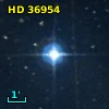 HD  36954