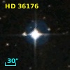 HD  36176