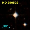HD 290529