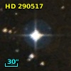 HD 290517