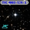 TYC 4003-528-1