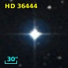 HD  36444
