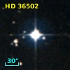 HD  36502