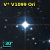 V* V1099 Ori