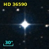 HD  36590
