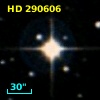 HD 290606