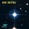 HD  36781