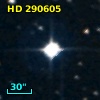 HD 290605