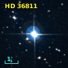 HD  36811
