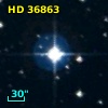 HD  36863