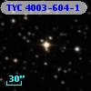TYC 4003-604-1