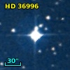 HD  36996